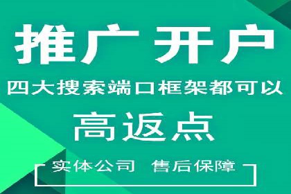 百度推广实战：成功案例解析